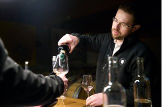 vino